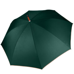 Automatic wooded umbrella