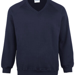 Coloursure™ v-neck sweatshirt