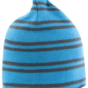 Team reversible beanie