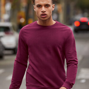 B&C Inspire crew neck