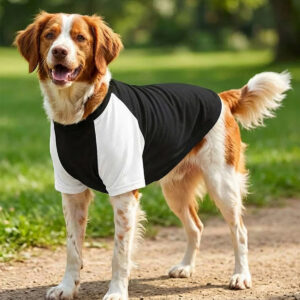 Dog's Raglan t-shirt