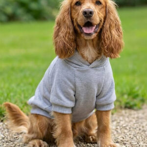 Dog's Hoodie