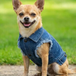 Dog's Denim jacket